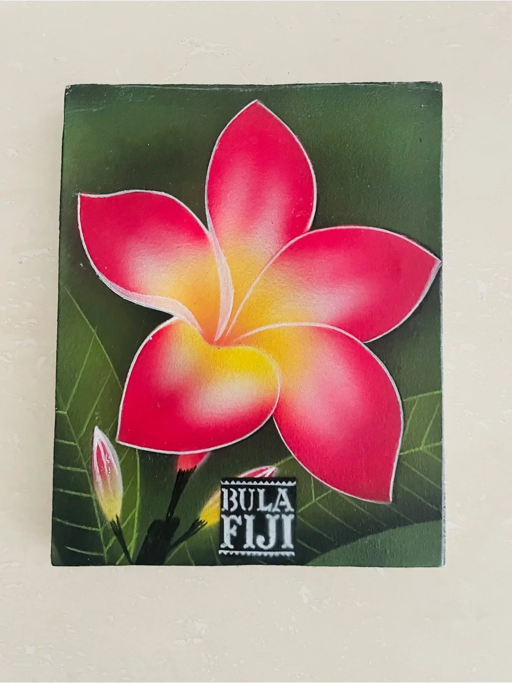 Fiji Plumeria Frangipani Flower Hand Painted Picture Handmade Home Decor Bula